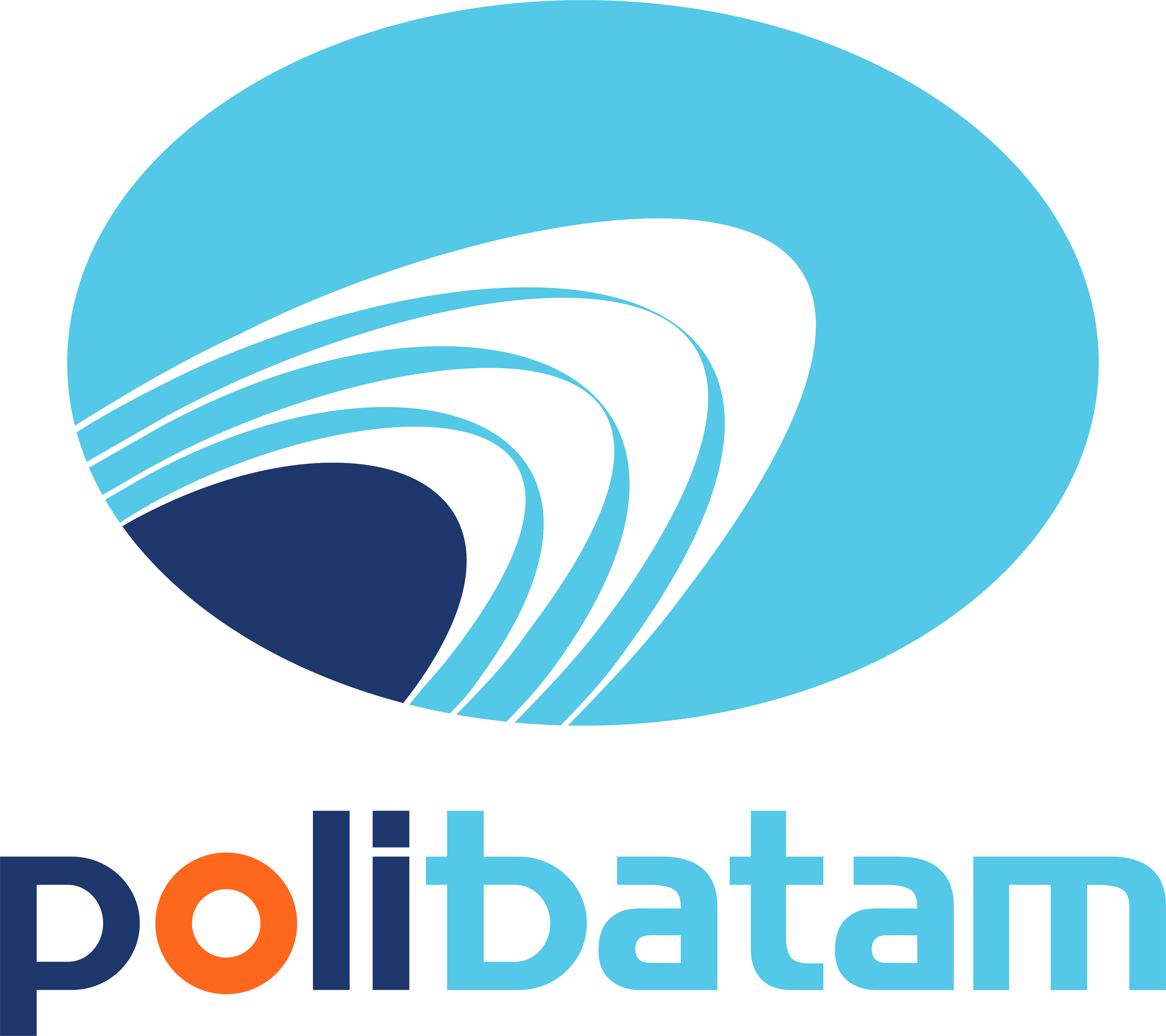 Collaborator 2